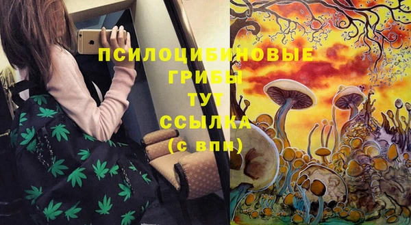 трава Аркадак
