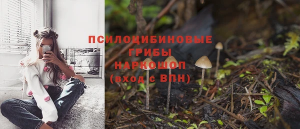 трава Аркадак